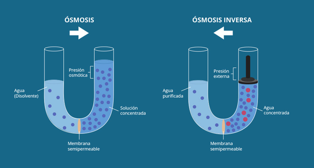 Membrana ósmosis inversa - Agua definida